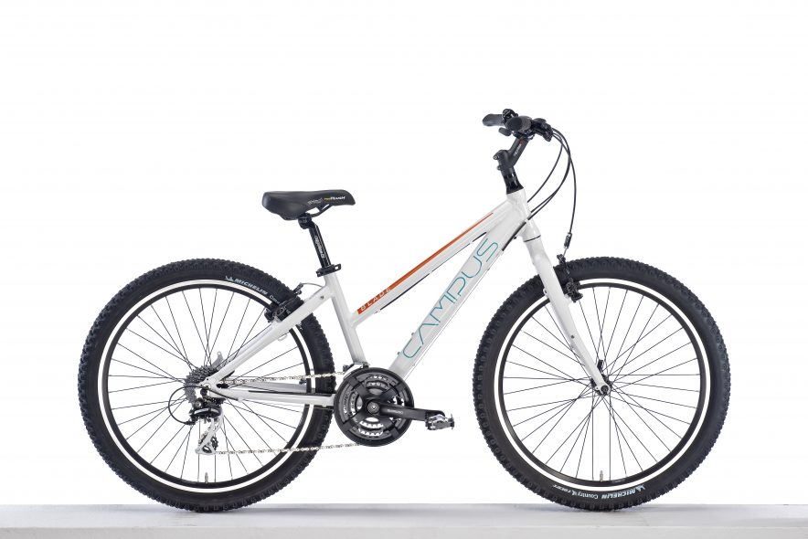 e-bike & fahrrad zentrum forst pegro gmbh forst